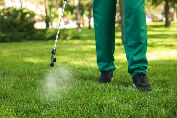 Wildlife Control Services in Gold Beach, OR